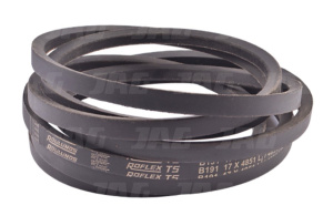 17X04851 Pas klinowy Roulunds B191