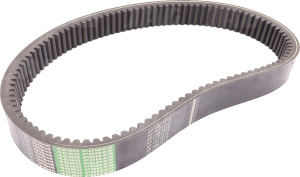 AP1001215 Pas Optibelt Agro Power