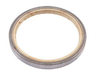 412189-S Uszczelniacz SKT, CASE IH 3138701R91 1966693C1