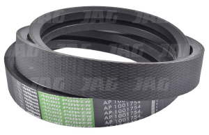 AP1001754 Pas Optibelt Agro Power