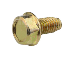 365008X1 Śruba maski 5/16