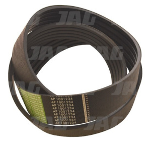 AP1001234 Pas Optibelt Agro Power