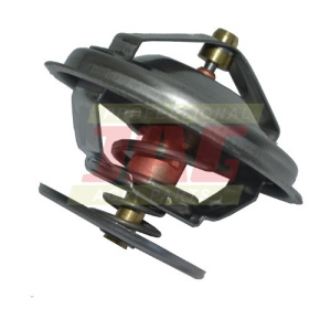 162000060702 Termostat