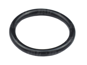 212251 Oring Oryginał CLAAS