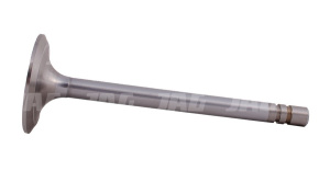 R51735 Zawór ssący