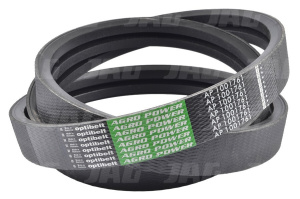 AP1001761 Pas Optibelt Agro Power