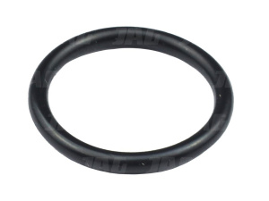 212251 Oring Oryginał CLAAS