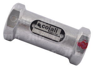 F255880020010 Zawór zwrotny