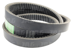 AP1001450 Pas wariatorowy OPTIBELT AGRO POWER, AGCO 905920M1 417995M1
