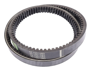 AP1001080 Pas Optibelt Agro Power