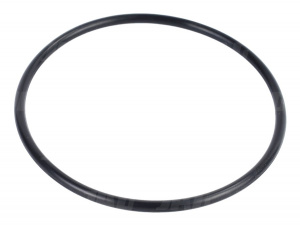 1004633M1 Oring