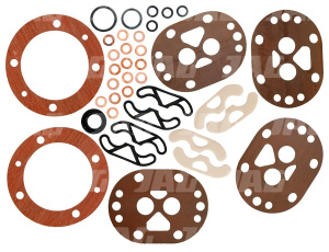 JAG08-0255 Zestaw naprawczy pompy hydraulicznej, CLAAS 0001769620