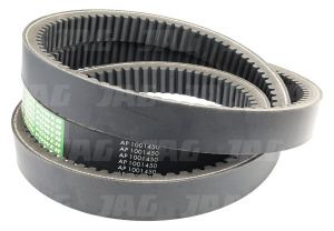 AP1001450 Pas wariatorowy OPTIBELT AGRO POWER, AGCO 905920M1 417995M1