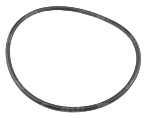 JAG99-1147 O-ring