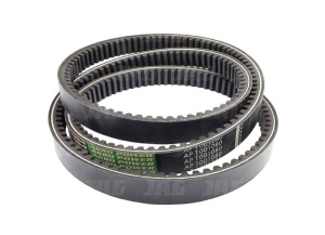AP1001080 Pas Optibelt Agro Power