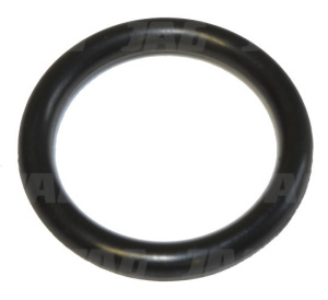 094031 Oring