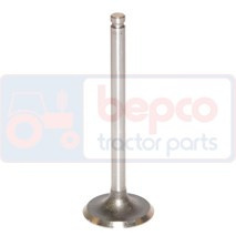 JAG99-0437 Zawór ssący