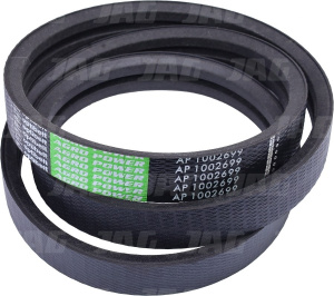 AP1002699 Pas Optibelt Agro Power