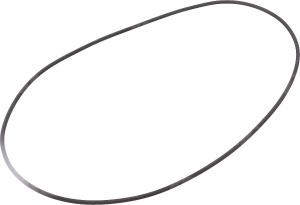 L40317 Oring piasty, JOHN DEERE L40317 DEUTZ FAHR 01166191