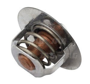 JAG99-1193 Termostat