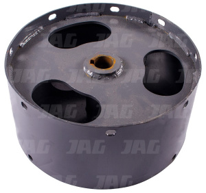 676173 Piasta hedera