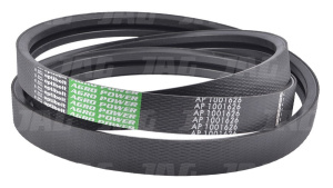 AP1001626 Pas Optibelt Agro Power