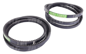 AP1004160 Pas Optibelt Agro Power 2 szt