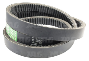 AP1001450 Pas Optibelt Agro Power