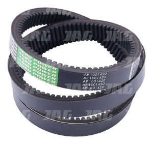 AP1001420 Pas wariatorowy OPTIBELT AGRO POWER, CNH 84073979 DEUTZ FAHR 06215202