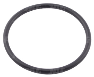 6005019089 Pierścień Claas Org, CLAAS 6005019089