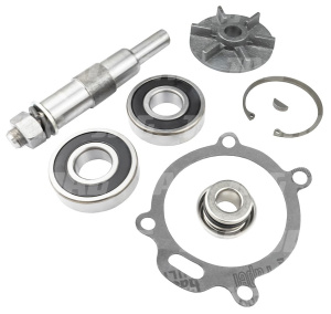 P70030 Zestaw naprawczy pompy wody
