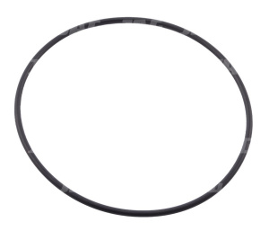 213863 Oring
