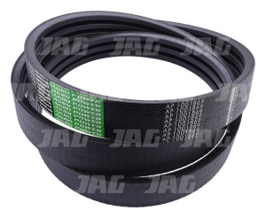 AP1001869 Pas zespolony OPTIBELT AGRO POWER, FORTSCHRITT 4260703942 4260697091