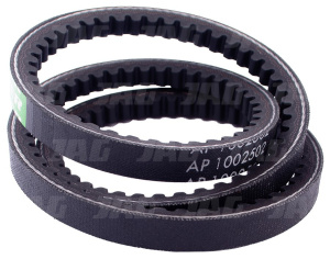 AP1002502 Pas Optibelt Agro Power