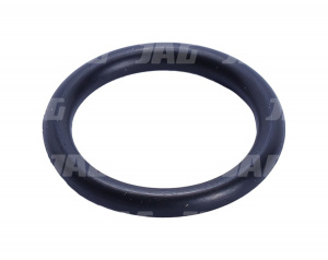 766548 Oring JAG