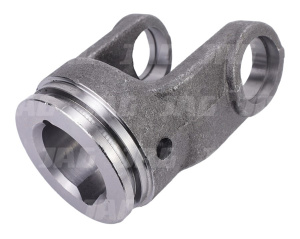 JAG82-0262 Widłak wewnętrzny