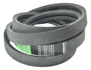 AP1001663 Pas Optibelt Agro Power, FORTSCHRITT 4250121780 6201400