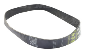 0142167 Pas wielorowkowy GATES AGRI, AGCO 843313M1
