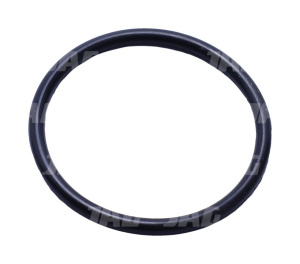 712325 Oring JAG