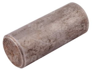 Kołek zwolnicy (4791334545) /D23/