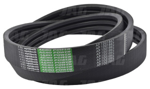 AP1001867 Pas Optibelt Agro Power