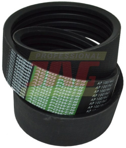 AP1001941 Pas Optibelt Agro Power