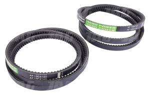 AP1004160 Pas Optibelt Agro Power 2 szt
