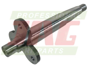 JAG06-0119 Wałek przekazu mocy