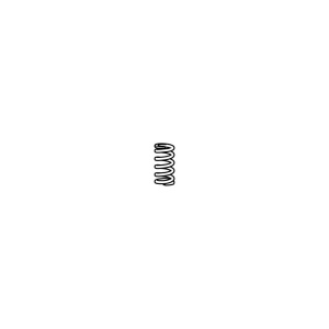 JAG82-0273 Sprężyna WALTERSCHEID