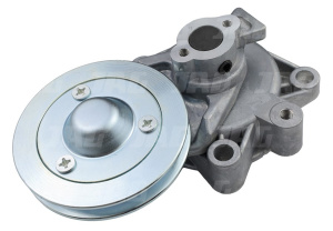 F100004152510 Napinacz paska klinowego