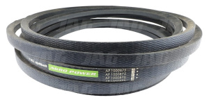 AP1000875 Pas Optibelt Agro Power