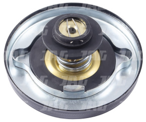 AT20719 Korek chłodnicy