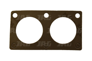 JAG99-0495 Uszczelka termostatu