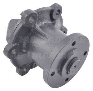 JAG99-0244 Pompa wody